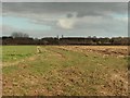 Footpath between fields