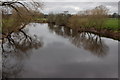 The Agivey River at Glasgort