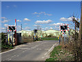 SY7689 : Level Crossing at Higher Woodsford by Mike Searle