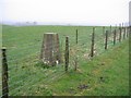 New hedge and triangulation pillar, Cummertrees.