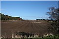 Ploughed Field