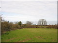 A tree-sheltered field at Marian