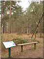 Woods on Sutton Common with infoboard