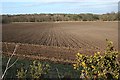 Ploughed field