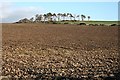 Hill near Bagrae