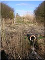 Drain on the edge of Dibden Bay