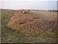SN9927 : Pillow mound at Twyn y Gaer by Alan Bowring