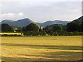 Lorton Vale Farmland