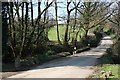 Road across the valley bottom near Caradon Town Farm