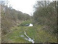 Stockton Cutting Nature Reserve