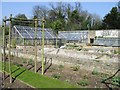 Greenhouses in the walled garden, Quex Park