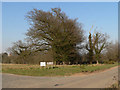 Trees and Almshouses sign