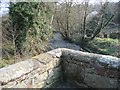 River Alyn/Afon Alun from Caergwrle