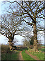 Farm track south of Bobbington in Shropshire