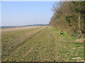 Boundary of Holkham Park