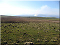 SH8460 : Ar gwr Hiraethog. At the edge of Denbigh moors by Alwyn Williams