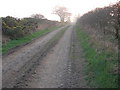 Farm road from Gallows Law to Hillend