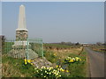 NS2911 : Covenanters Memorial by wfmillar
