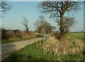 Rookery Road, just northeast of Whatfield