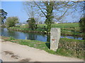 Duckpond at Tregawn Farm