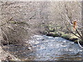 NJ3138 : Looking downstream Dullan Water by Stanley Howe