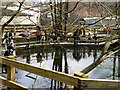 Pond Dipping Redisher Woods