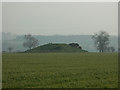 SK3328 : Round Hill barrow, near Twyford by Jerry Evans