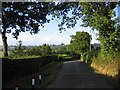 Country Lane near Cheriton Bishop