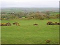 View from Warbstow Bury towards Warbstow