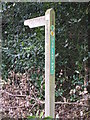 Solent Way Footpath Sign