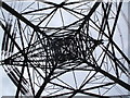 Pylon Inner Structure