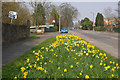 Sinclair Street, Helensburgh