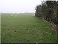 Footpath to Fox Farm