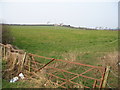 Field and Rusty Gate