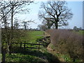 Puddington Brook, Stublach