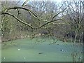 Pond near Ordnance Avenue