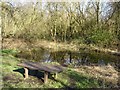 Risley Moss Nature Reserve