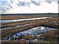 Risley Moss Nature Reserve