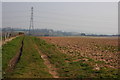 Farmland to the north of Chaddesley Corbett