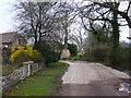 Hillside Road, Shortfield Common