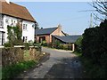 View along road near Grays Farm