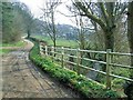 Bridge over Coombe Brooke