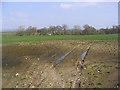 A field at West Cluden