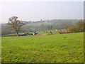 Wealden Landscape