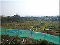 Allotments between Coychurch Road & Cheapside