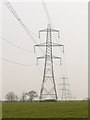 Line of pylons