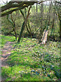 Footbridge near Six Acre Wood