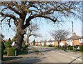 Cropston Road, Anstey.