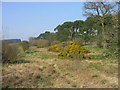 Footpath near High Southward Edge