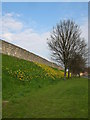 City walls - opposite the Barbican